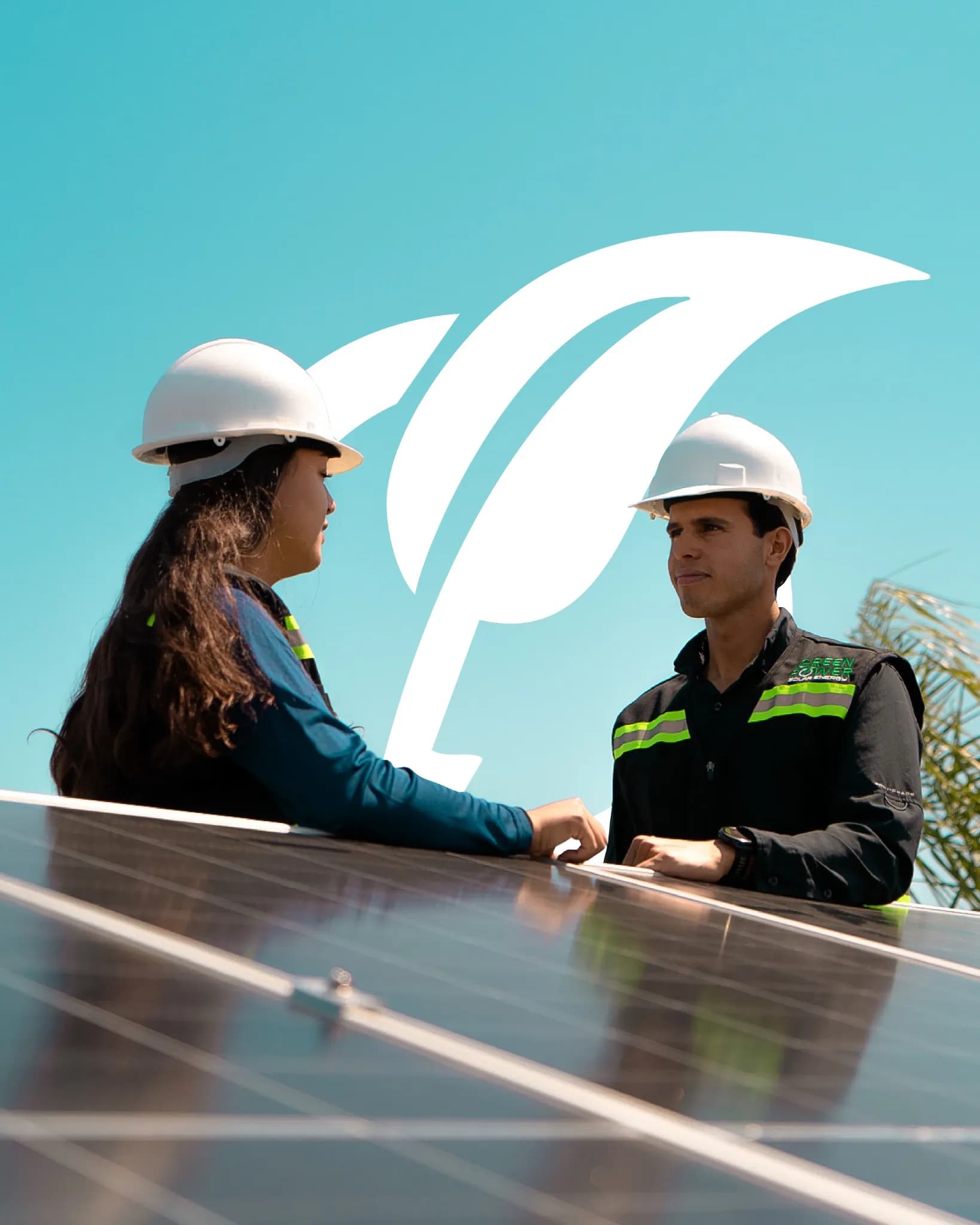 paneles solares